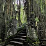 20241129 1138133 150x150