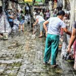 20241129 1609146 1 150x150